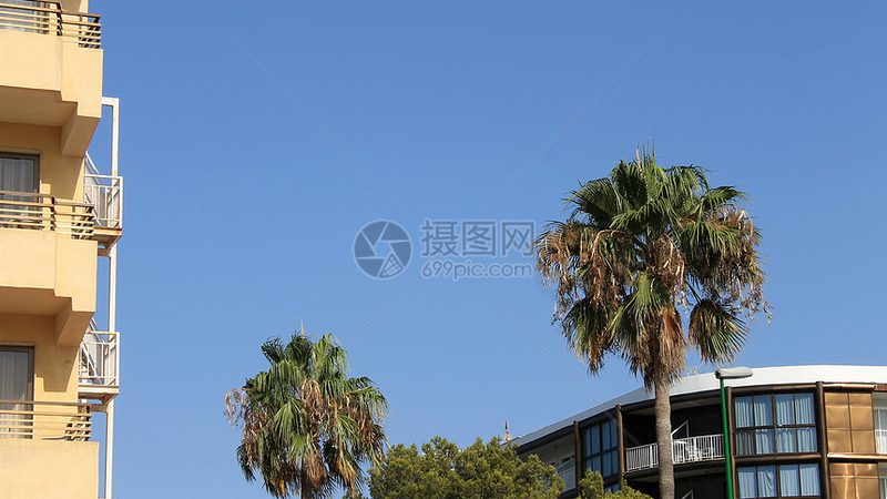 三代同船，邮轮出行前要盯紧这几件事
